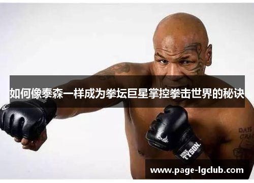 如何像泰森一样成为拳坛巨星掌控拳击世界的秘诀