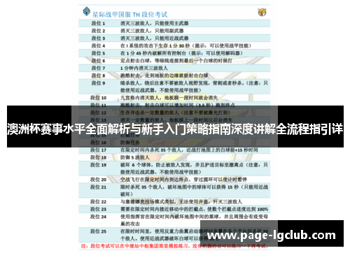 澳洲杯赛事水平全面解析与新手入门策略指南深度讲解全流程指引详