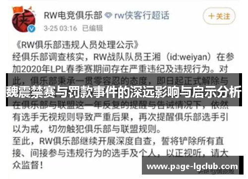 魏震禁赛与罚款事件的深远影响与启示分析