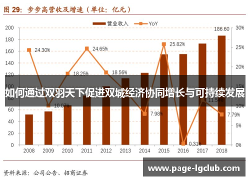 如何通过双羽天下促进双城经济协同增长与可持续发展